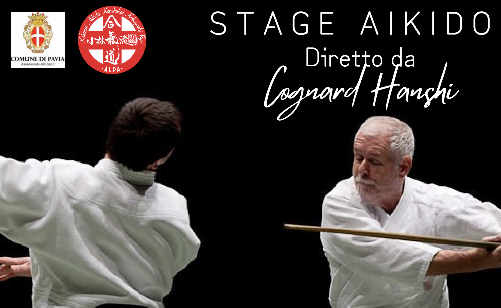 stage pavia 2024